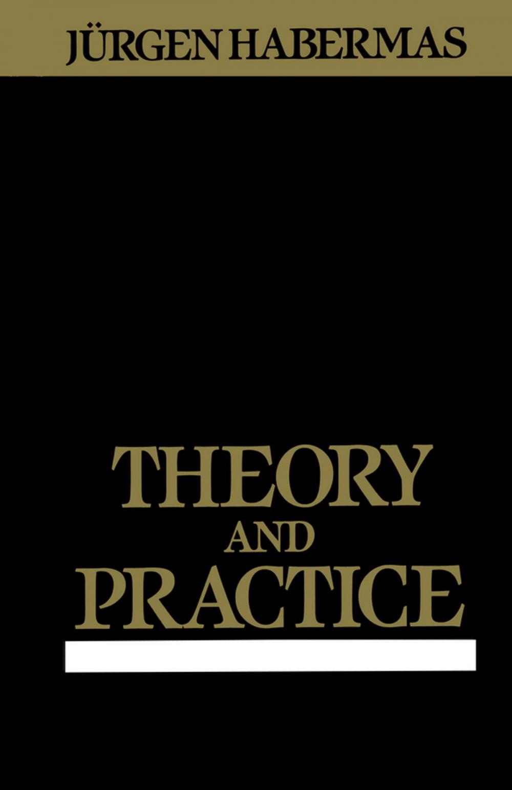 Big bigCover of Theory and Practice