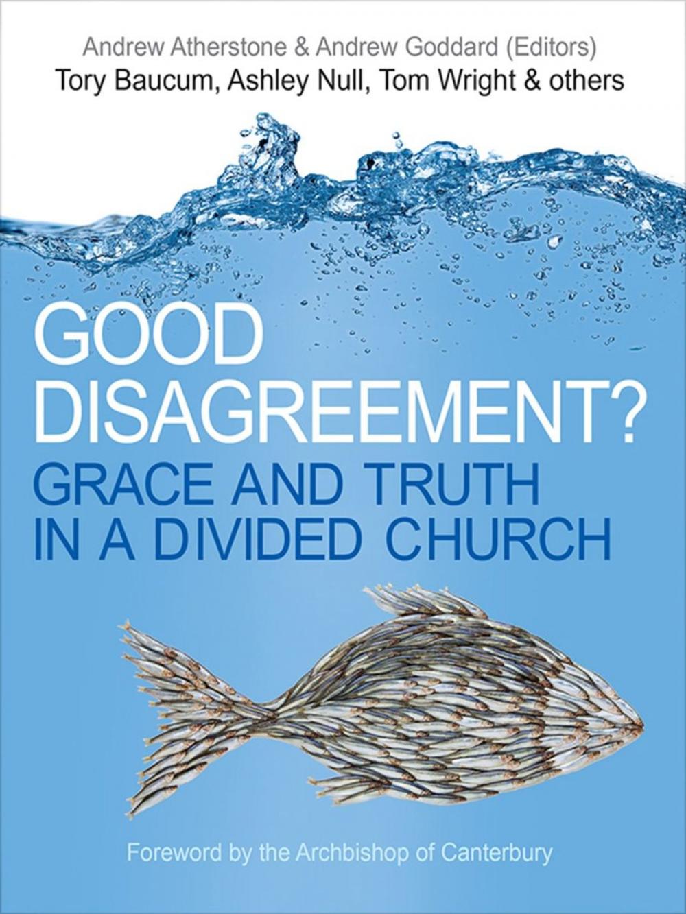 Big bigCover of Good Disagreement?