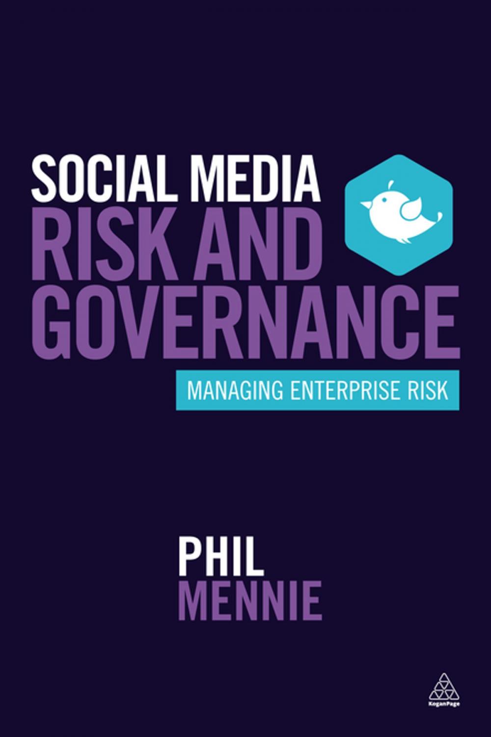 Big bigCover of Social Media Risk and Governance