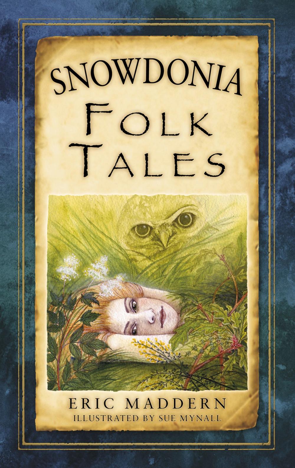 Big bigCover of Snowdonia Folk Tales