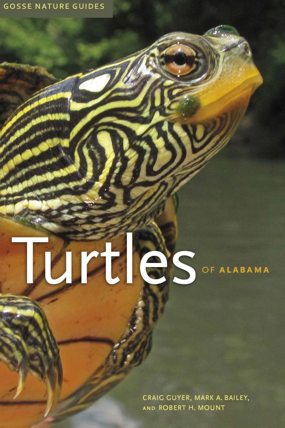 Big bigCover of Turtles of Alabama