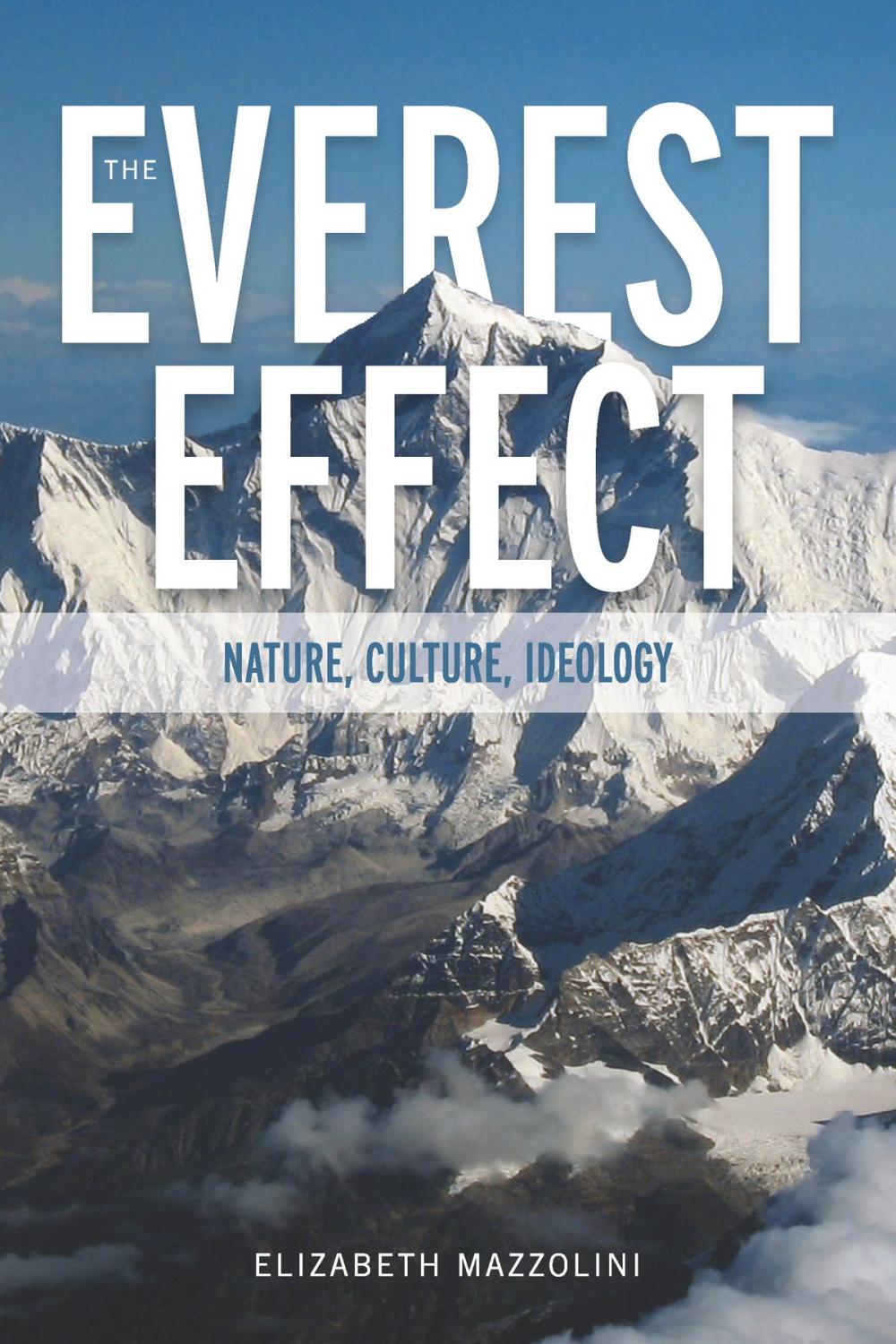 Big bigCover of The Everest Effect