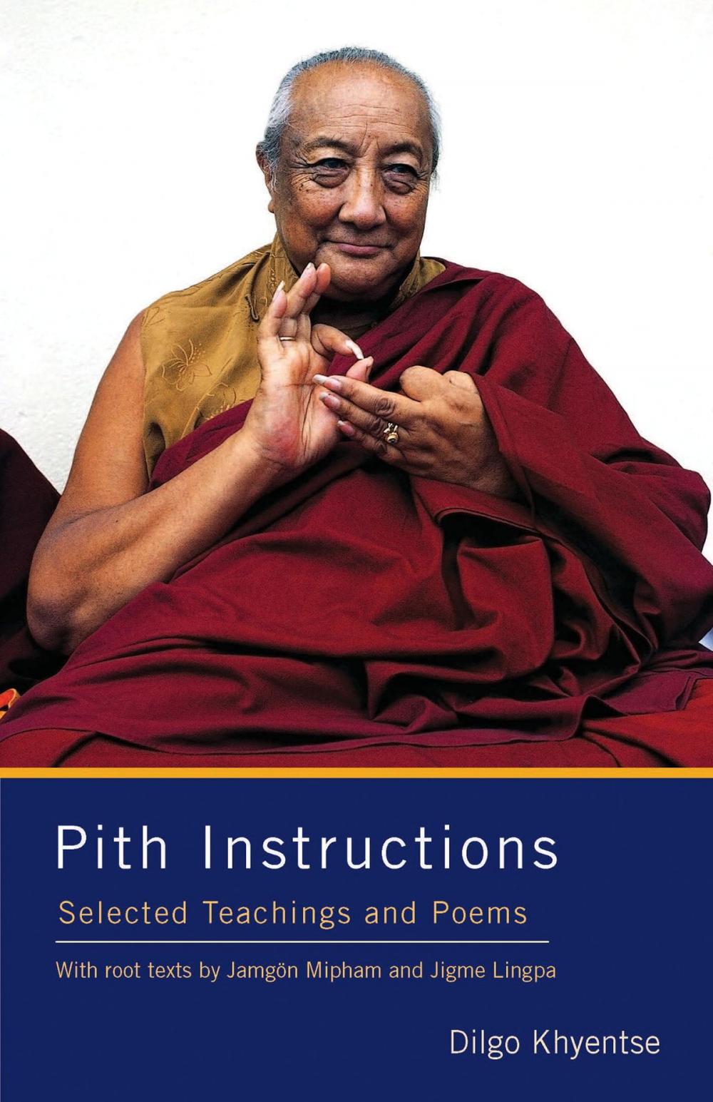 Big bigCover of Pith Instructions