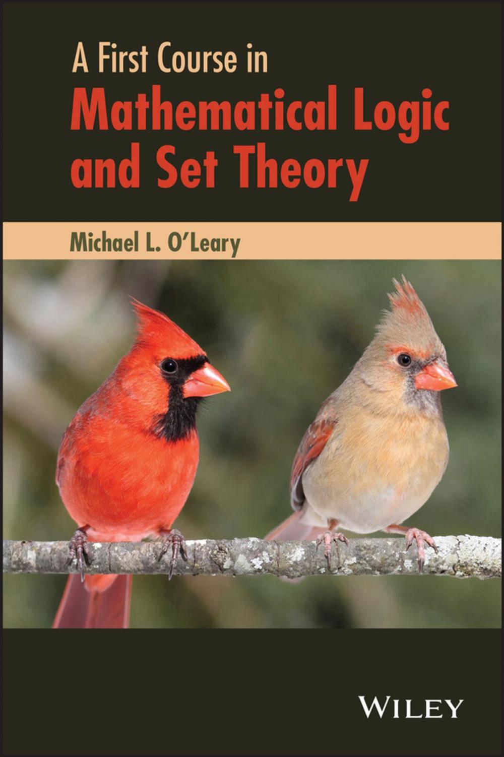 Big bigCover of A First Course in Mathematical Logic and Set Theory