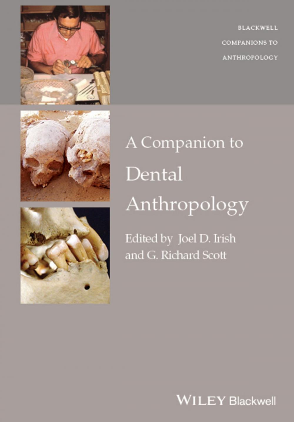 Big bigCover of A Companion to Dental Anthropology