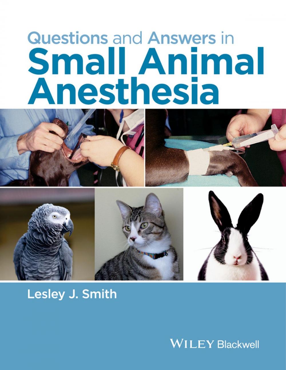 Big bigCover of Questions and Answers in Small Animal Anesthesia