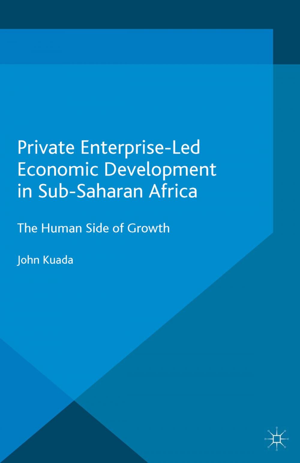 Big bigCover of Private Enterprise-Led Economic Development in Sub-Saharan Africa