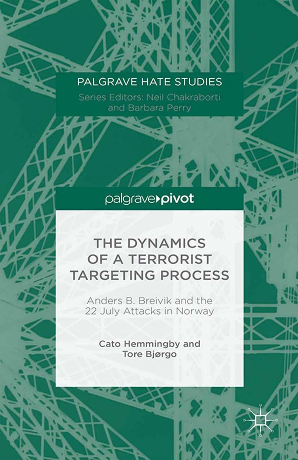 Big bigCover of The Dynamics of a Terrorist Targeting Process