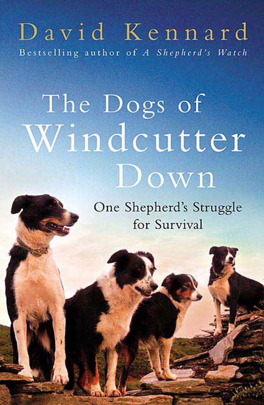 Big bigCover of The Dogs of Windcutter Down