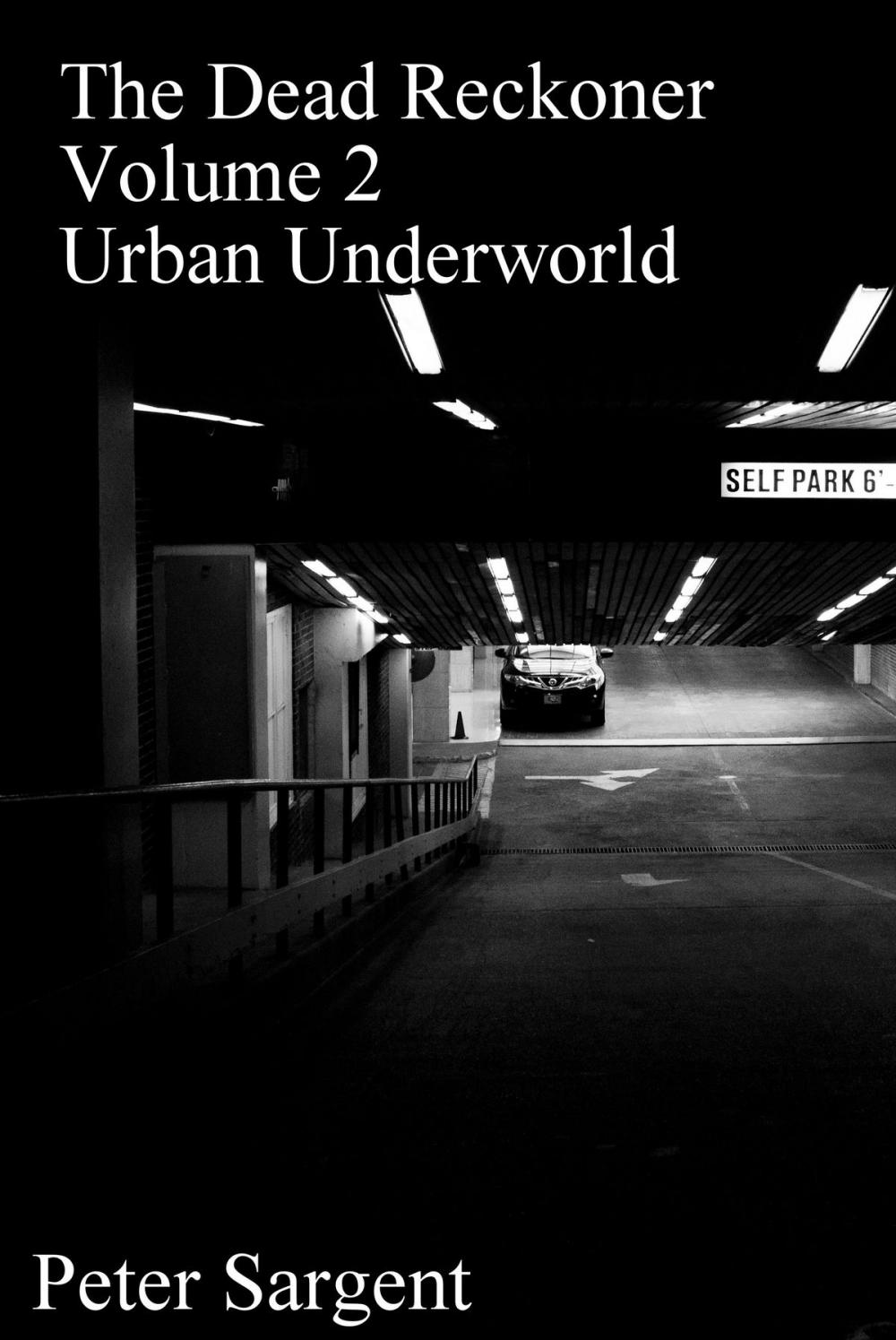 Big bigCover of The Dead Reckoner: Volume Two: Urban Underworld