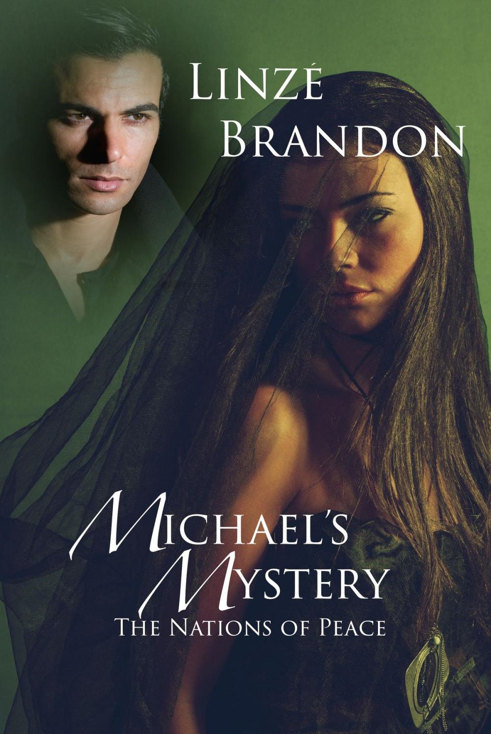 Big bigCover of Michael's Mystery