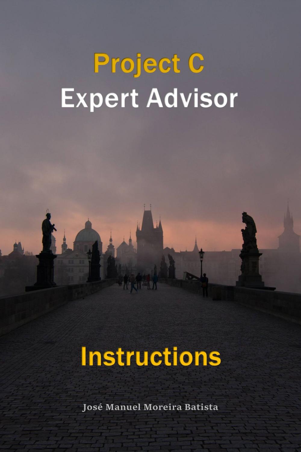 Big bigCover of Project C Expert Advisor Instructions