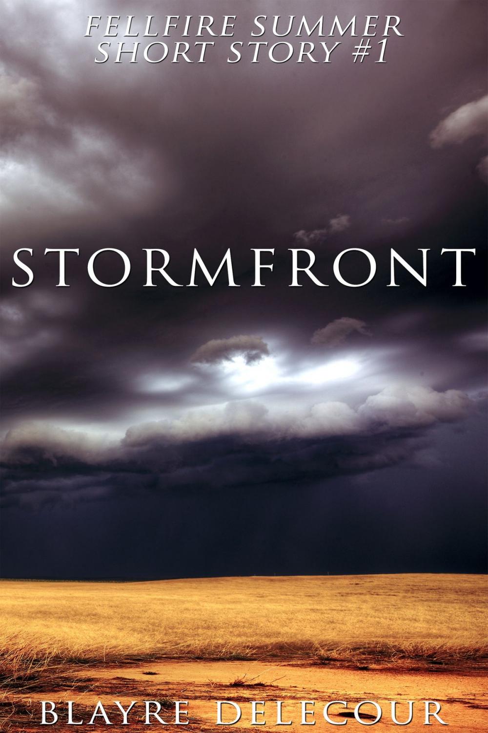 Big bigCover of Stormfront (Fellfire Summer Short Story #1)