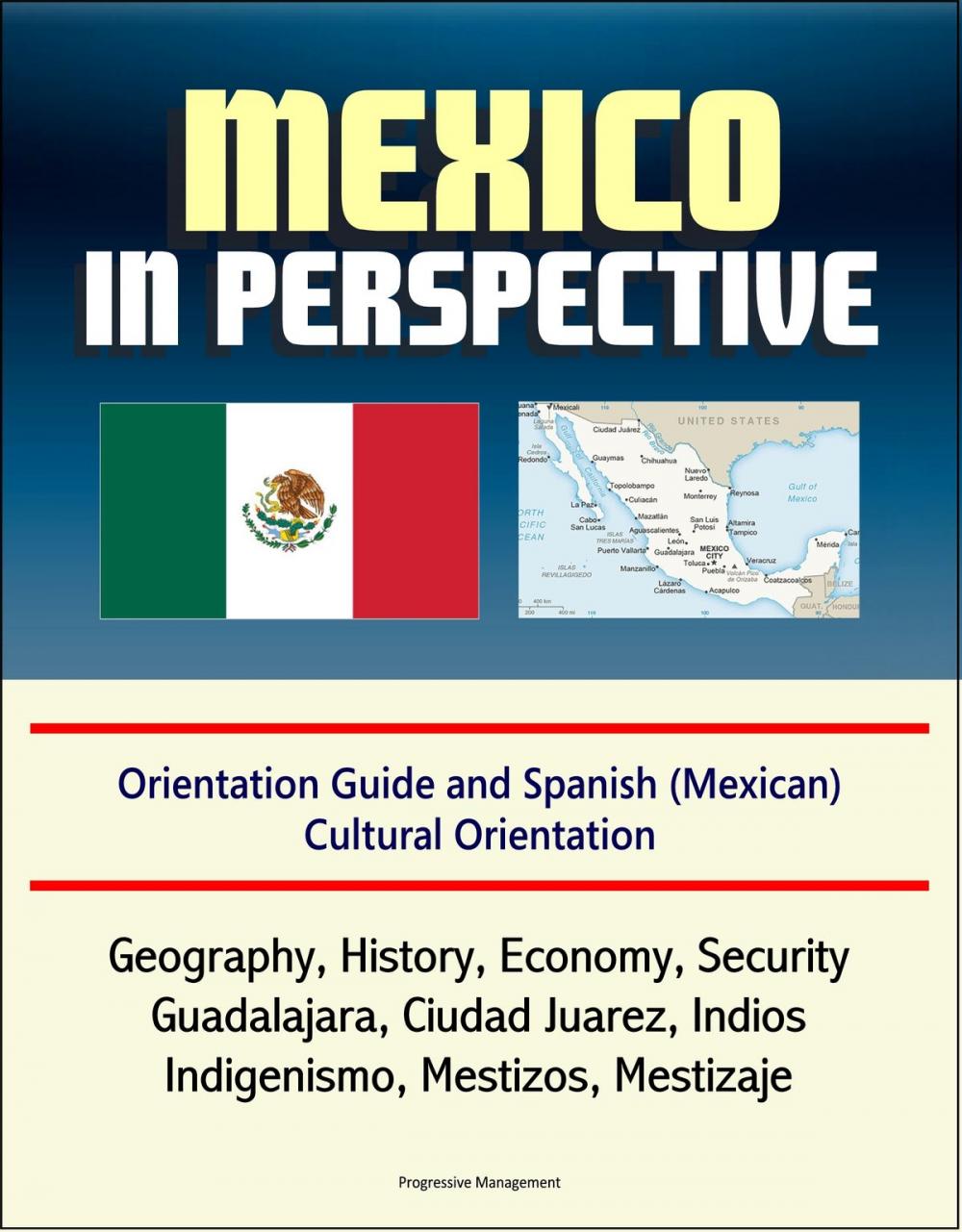 Big bigCover of Mexico in Perspective - Orientation Guide and Spanish (Mexican) Cultural Orientation: Geography, History, Economy, Security, Guadalajara, Ciudad Juarez, Indios, Indigenismo, Mestizos, Mestizaje