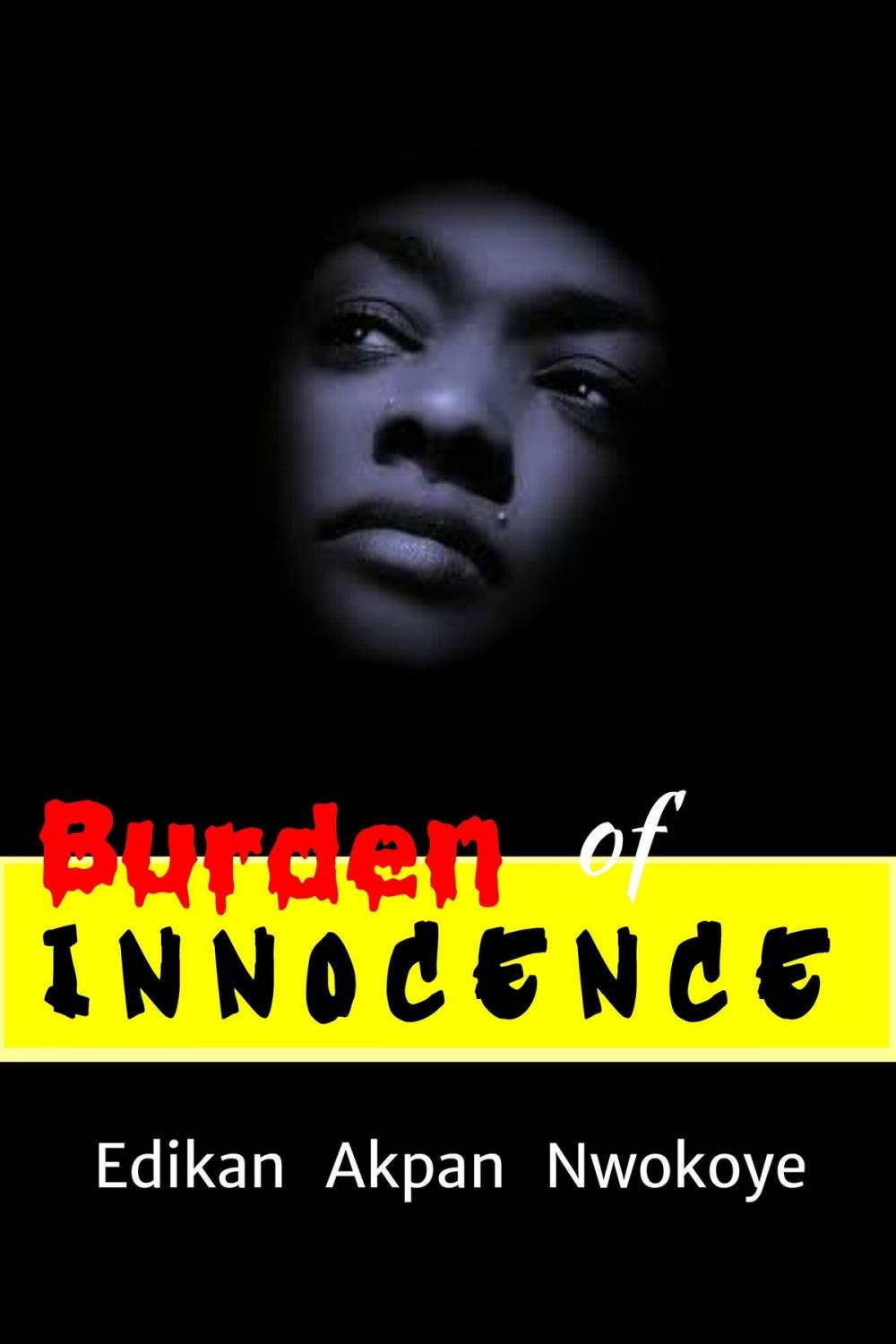 Big bigCover of Burden of Innocence