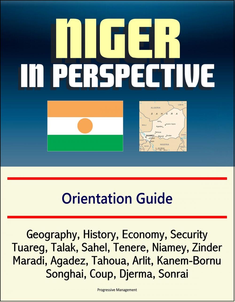 Big bigCover of Niger in Perspective: Orientation Guide: Geography, History, Economy, Security, Tuareg, Talak, Sahel, Tenere, Niamey, Zinder, Maradi, Agadez, Tahoua, Arlit, Kanem-Bornu, Songhai, Coup, Djerma, Sonrai