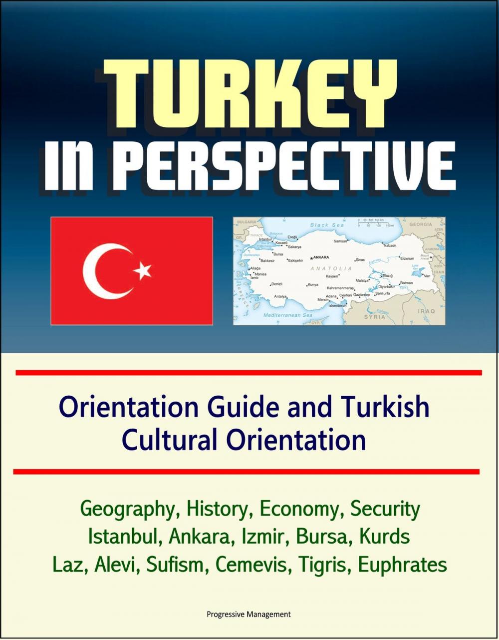 Big bigCover of Turkey in Perspective: Orientation Guide and Turkish Cultural Orientation: Geography, History, Economy, Security, Istanbul, Ankara, Izmir, Bursa, Kurds, Laz, Alevi, Sufism, Cemevis, Tigris, Euphrates