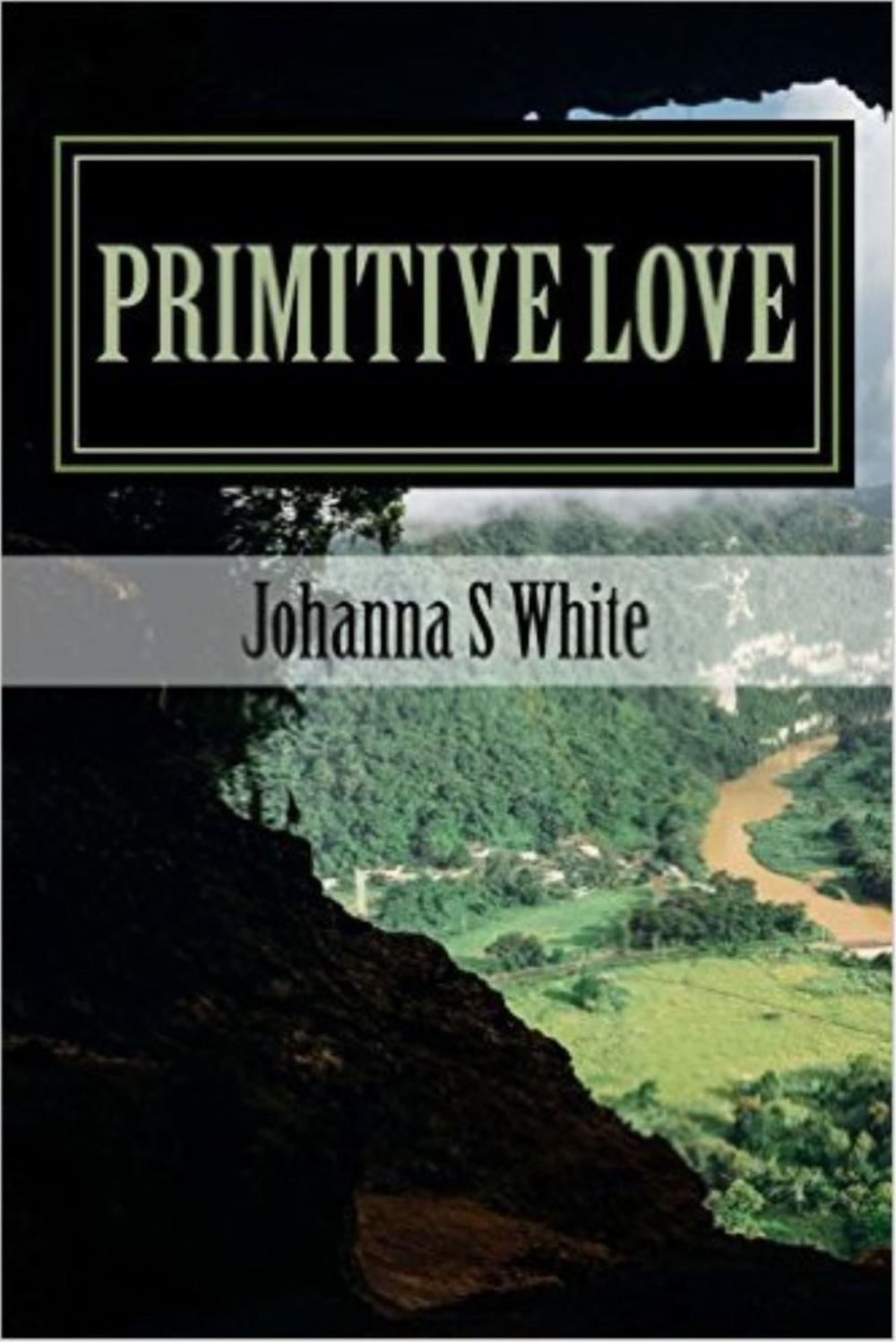 Big bigCover of Primitive Love: How Grunda Found Maboob