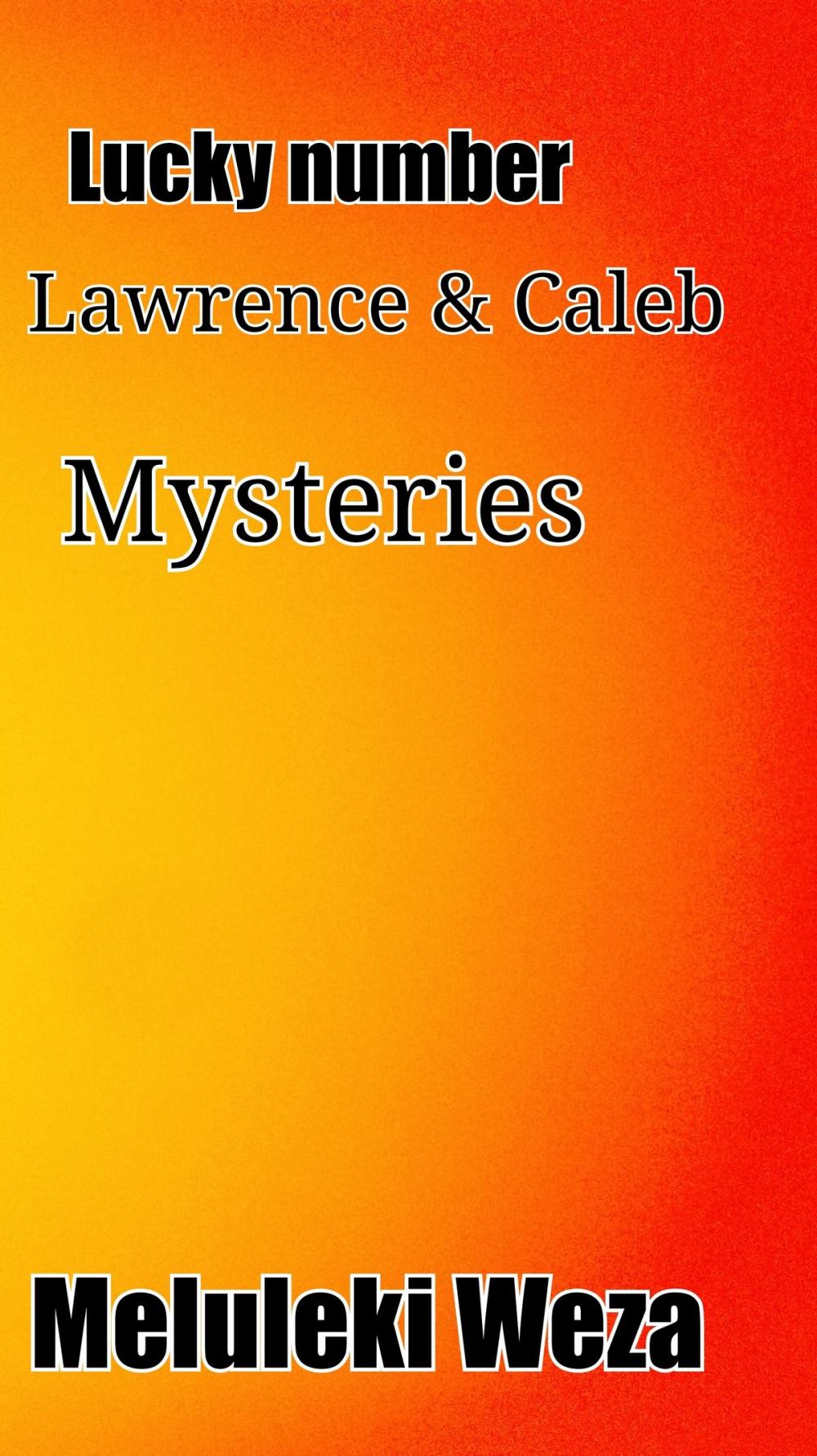 Big bigCover of The Lucky number: Lawrence and Caleb mysteries