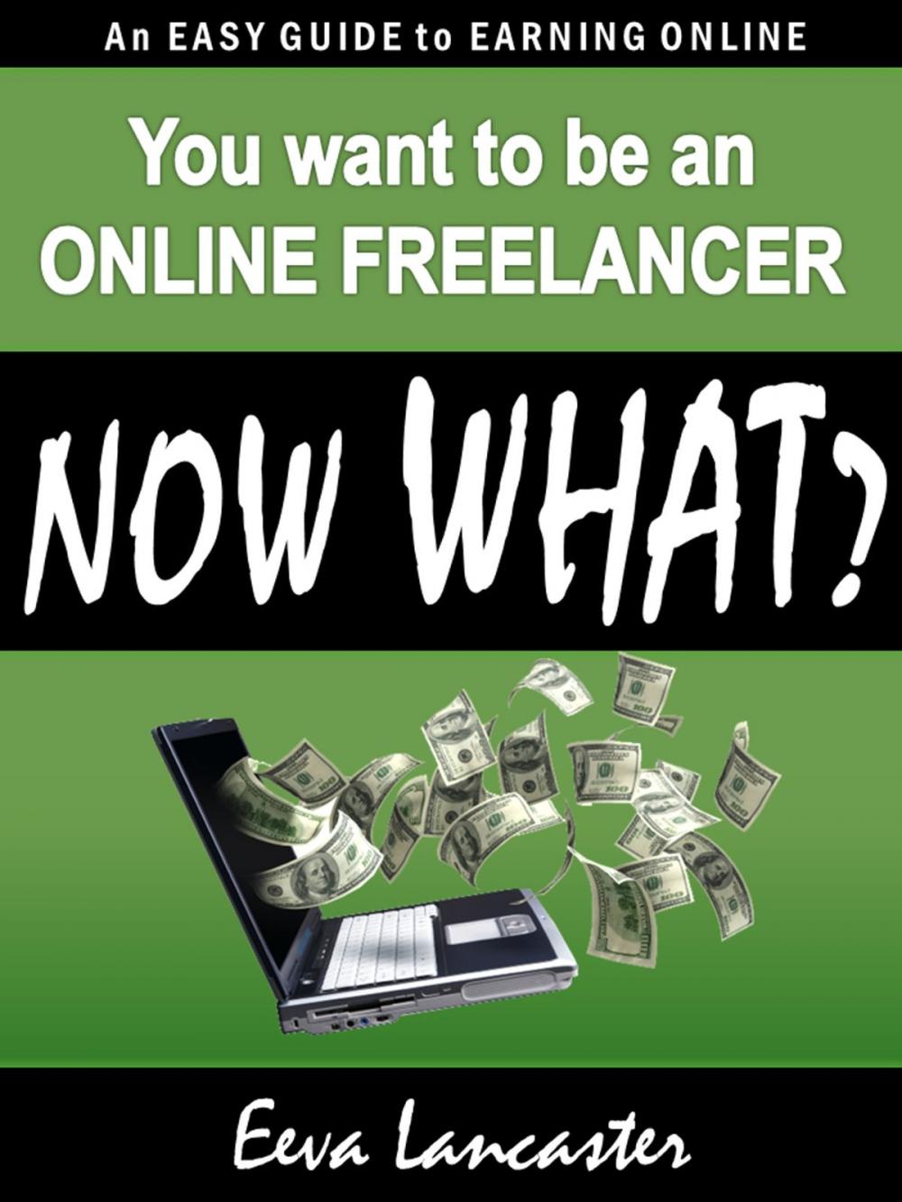 Big bigCover of You Want To Be An Online Freelancer... Now What?