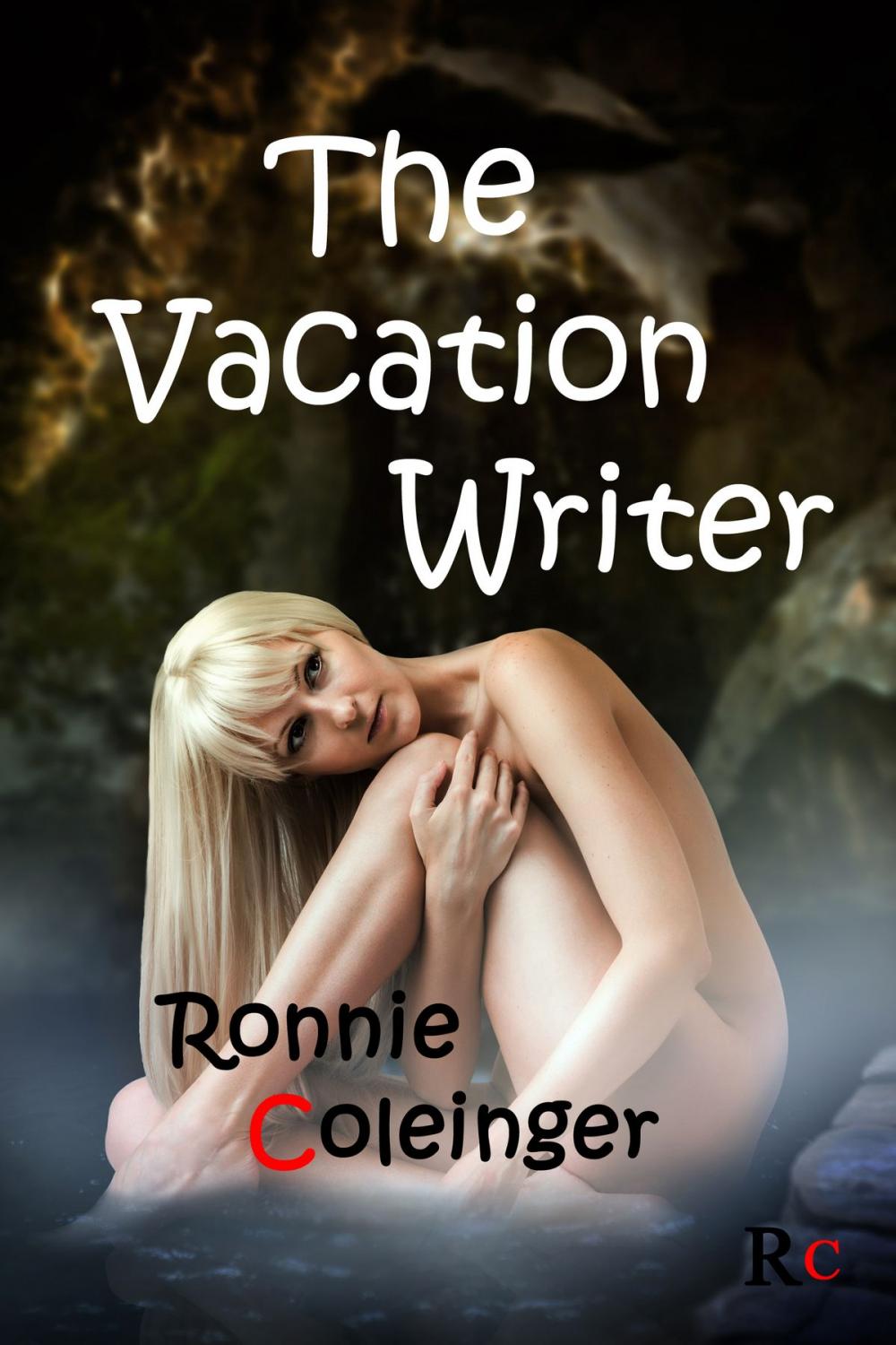 Big bigCover of The Vacation Writer