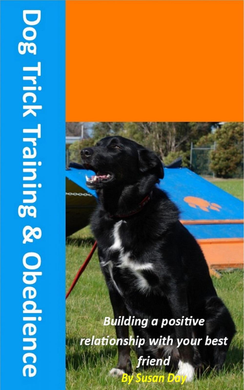 Big bigCover of Dog Trick Training and Obedience