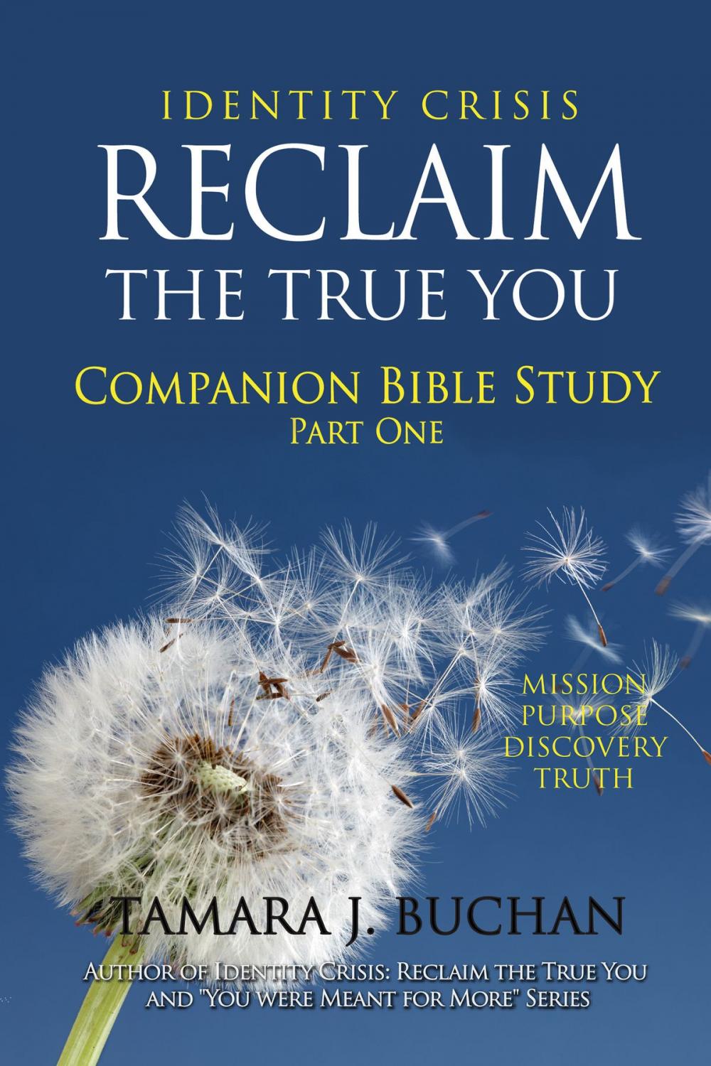 Big bigCover of Identity Crisis Reclaim the True You: Companion Bible Study Part 1