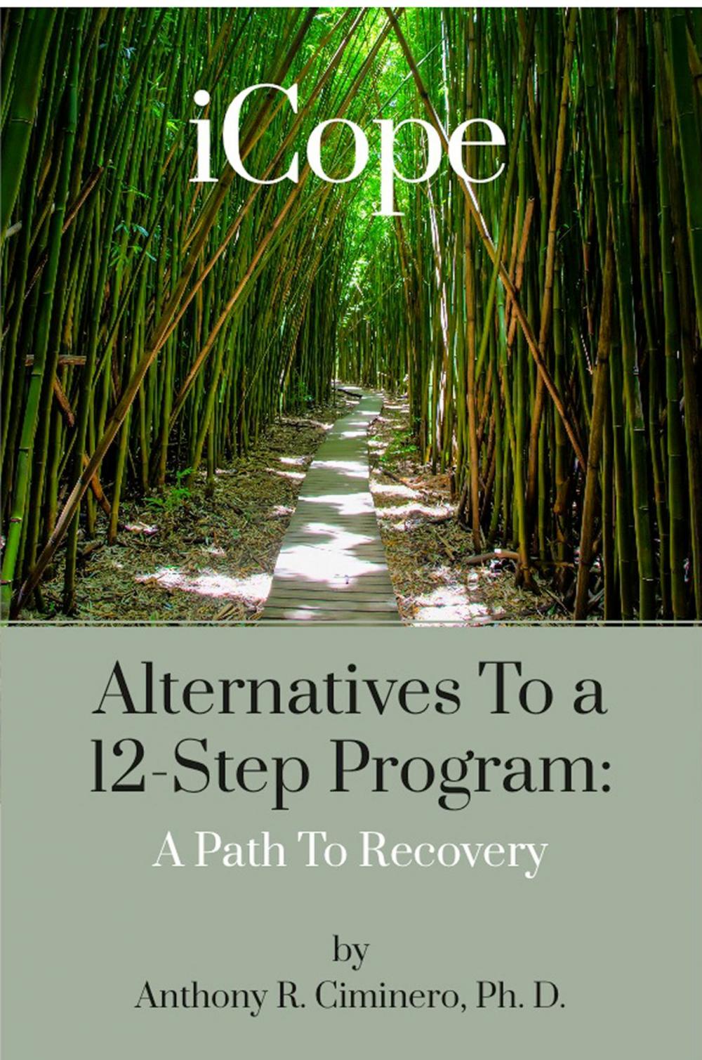 Big bigCover of iCope: Alternatives To A 12-Step Program: A Path To Recovery