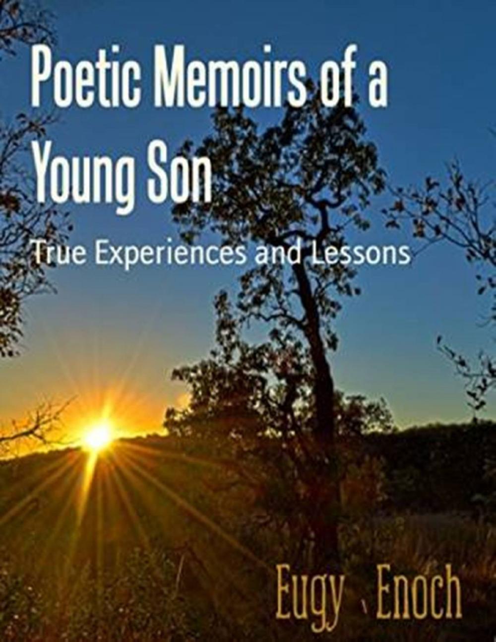 Big bigCover of Poetic Memoirs of a Young Son - True Life Collections