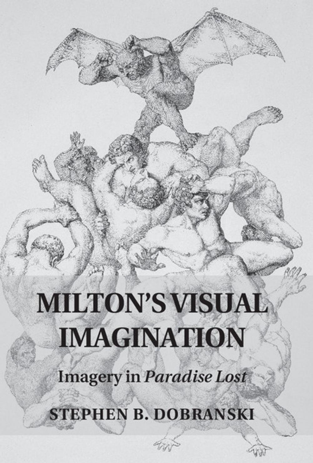 Big bigCover of Milton's Visual Imagination