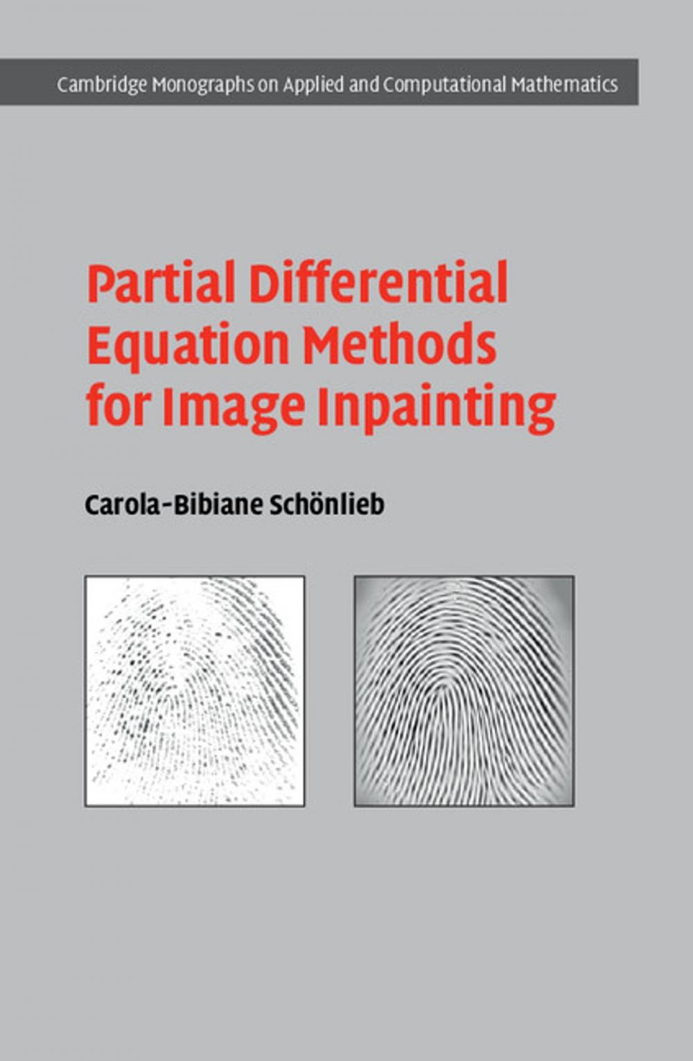 Big bigCover of Partial Differential Equation Methods for Image Inpainting