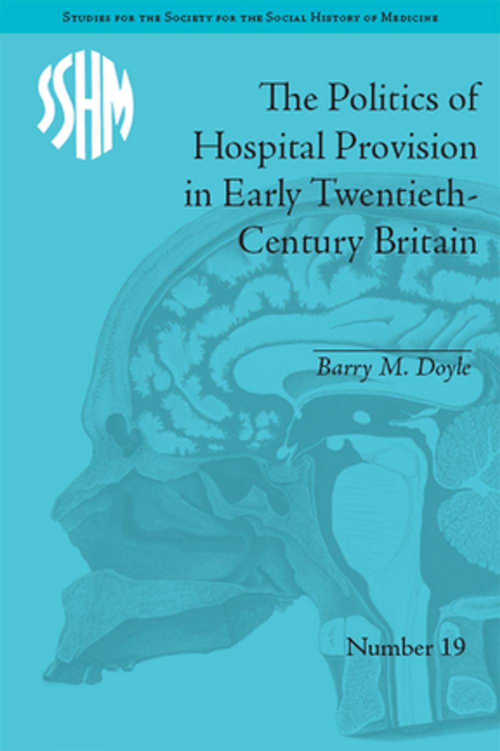 Big bigCover of The Politics of Hospital Provision in Early Twentieth-Century Britain