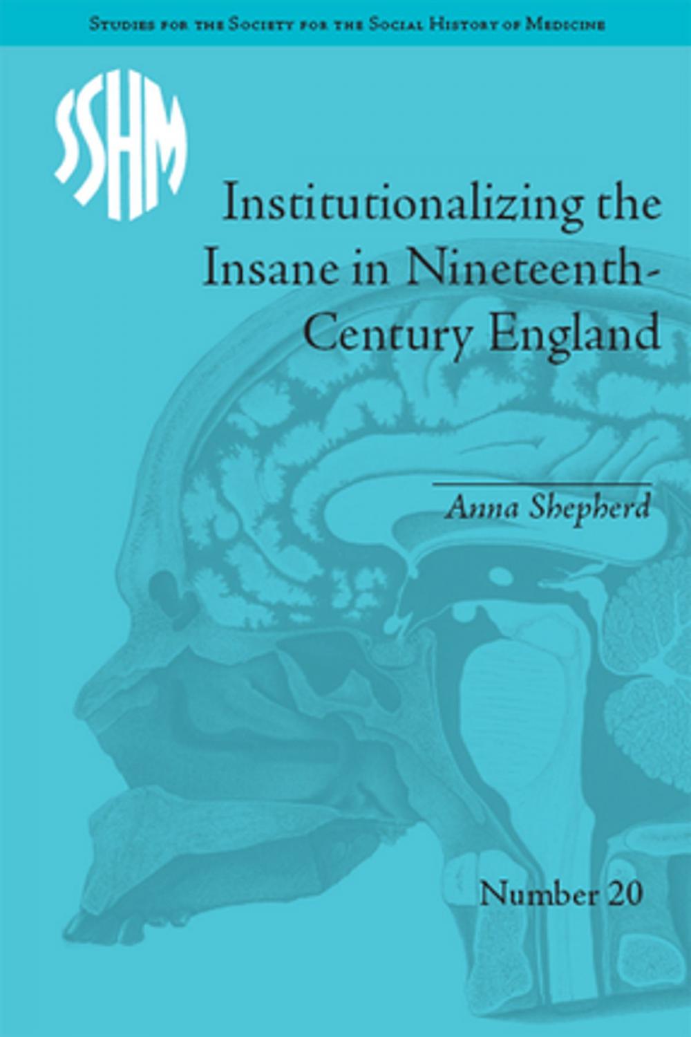 Big bigCover of Institutionalizing the Insane in Nineteenth-Century England