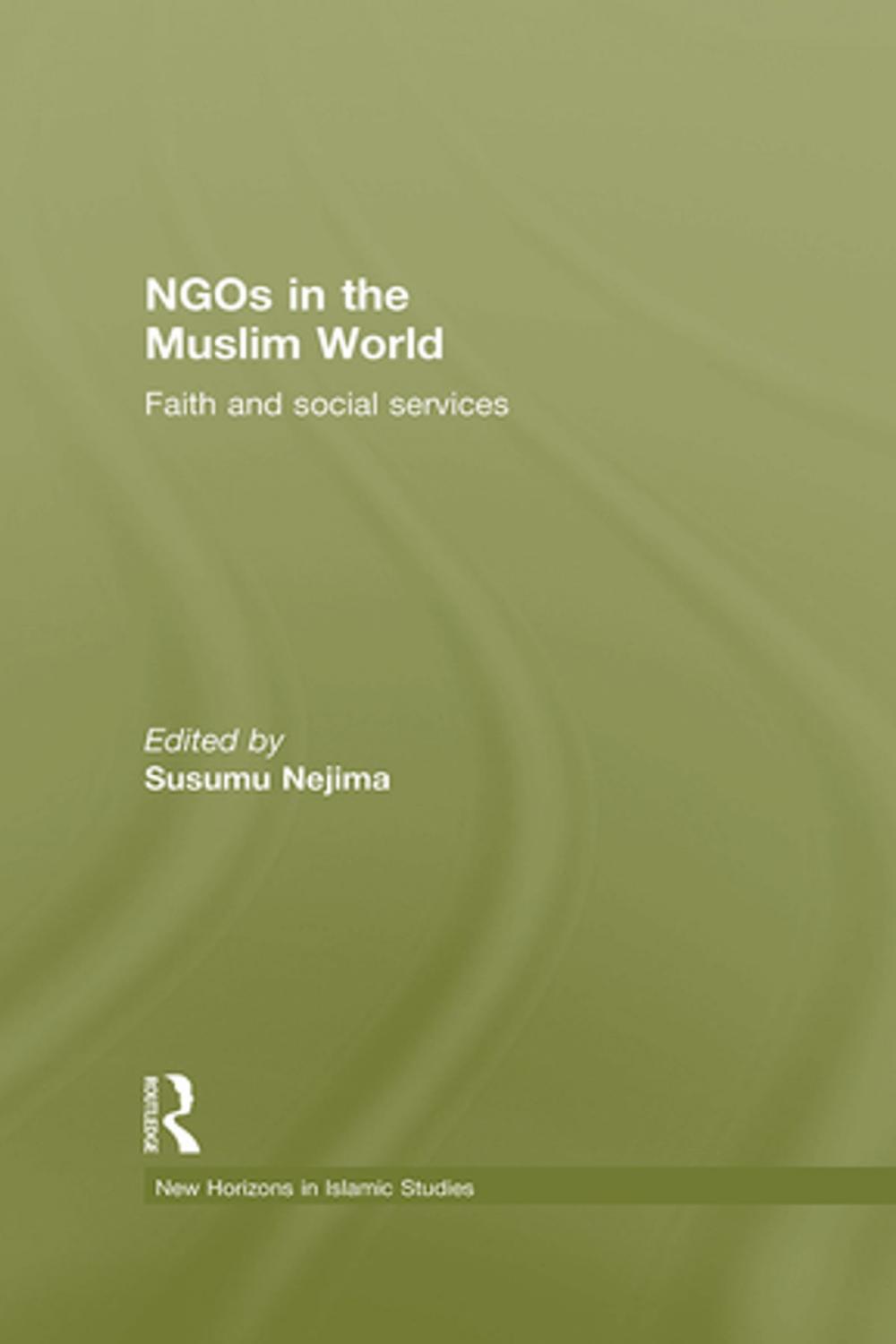 Big bigCover of NGOs in the Muslim World