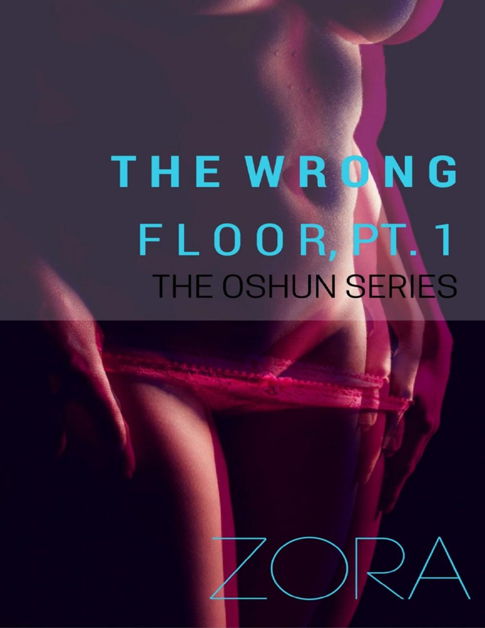 Big bigCover of The Wrong Floor, Pt. 1 - The Oshun Series