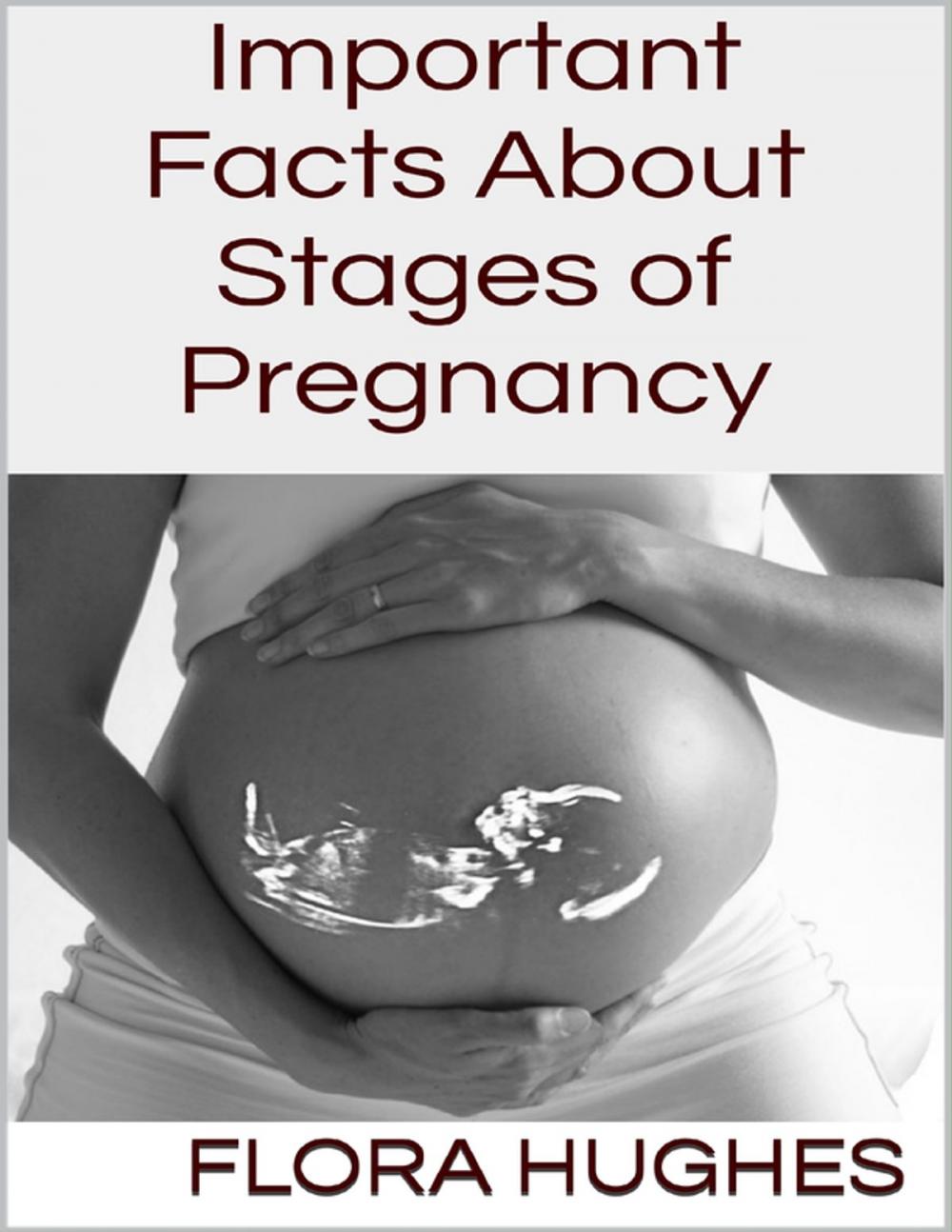 Big bigCover of Important Facts About Stages of Pregnancy