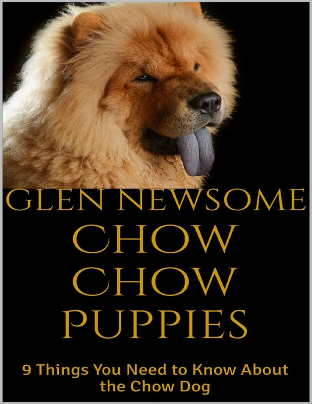 Big bigCover of Chow Chow Puppies: 9 Things You Need to Know About the Chow Dog