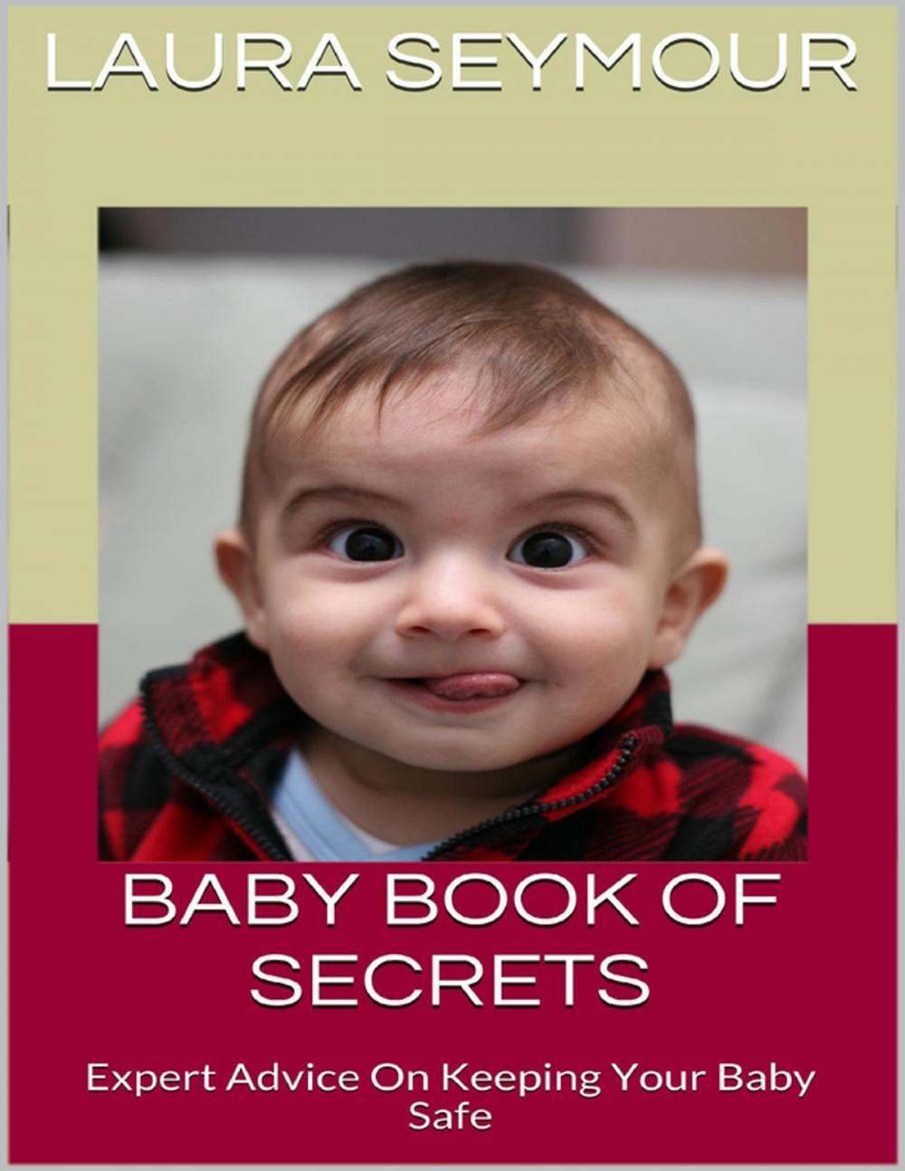 Big bigCover of Baby Book of Secrets: Expert Advice On Keeping Your Baby Safe