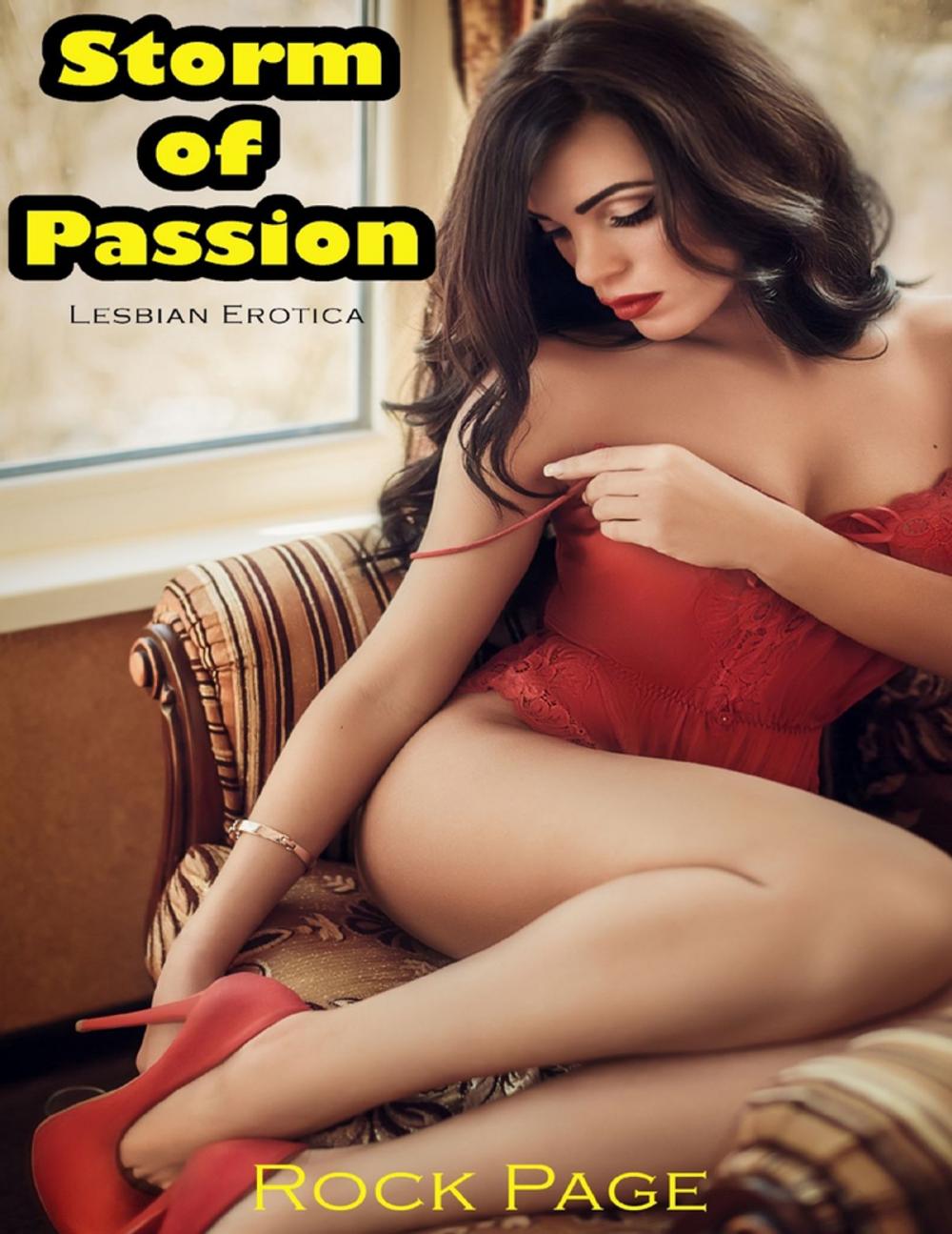 Big bigCover of Lesbian Erotica: Storm of Passion