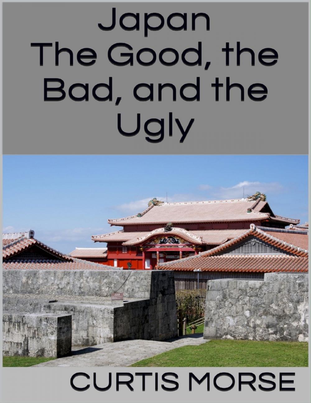 Big bigCover of Japan: The Good, the Bad, and the Ugly