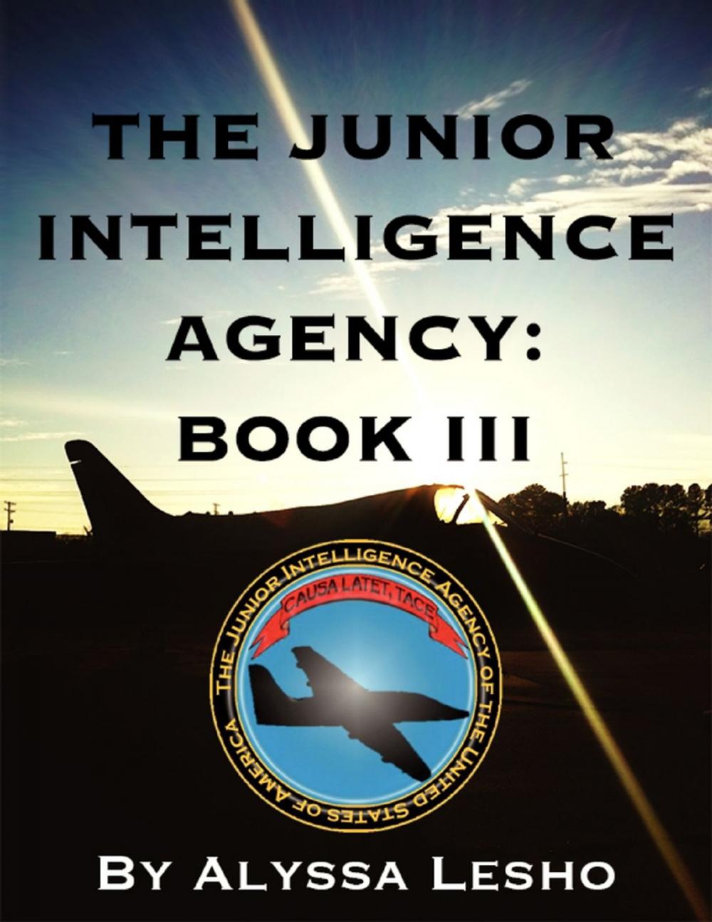 Big bigCover of The Junior Intelligence Agency: Book 3