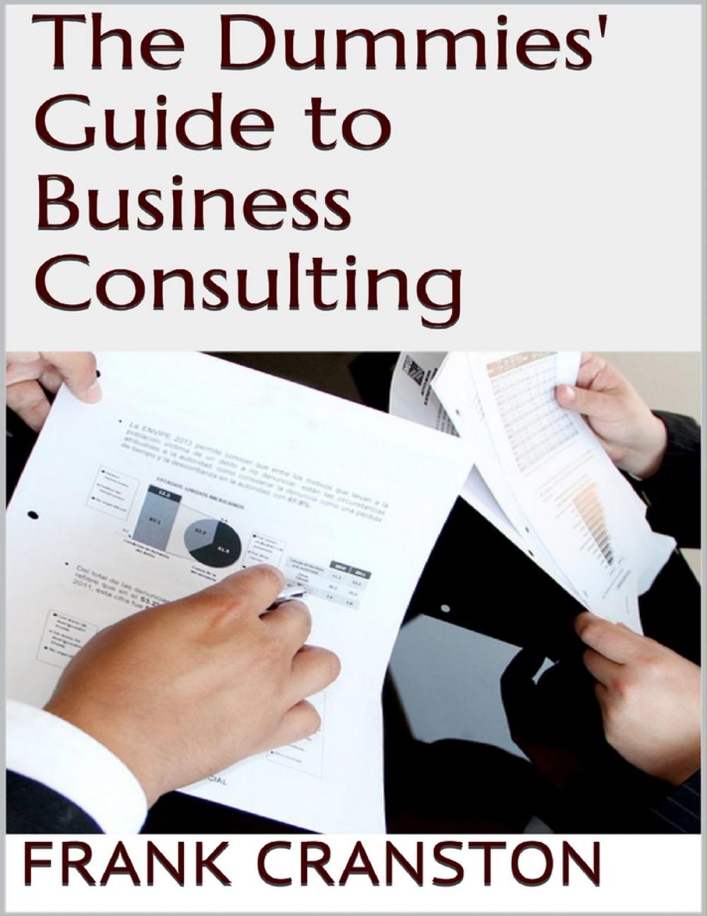 Big bigCover of The Dummies' Guide to Business Consulting