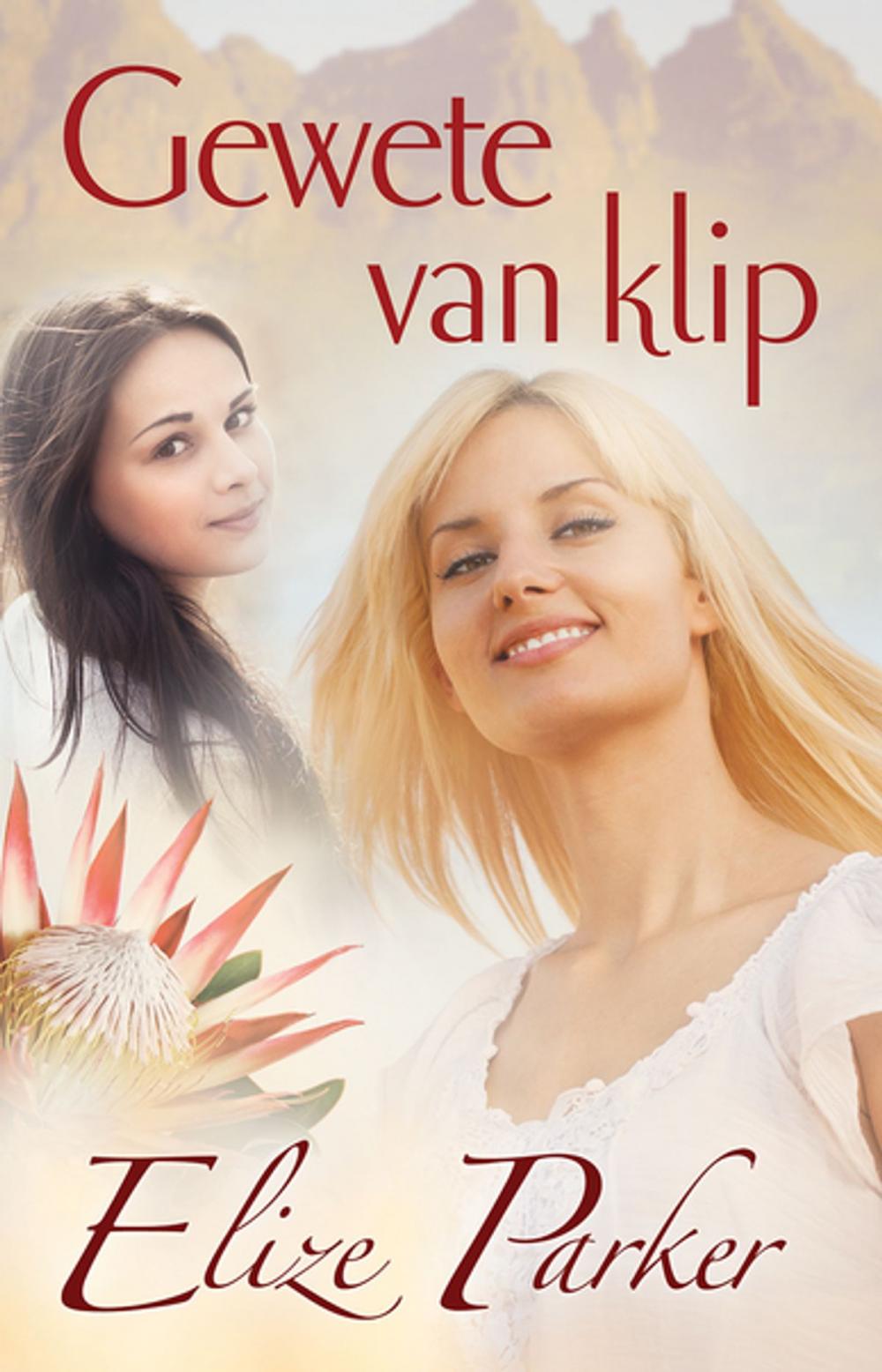 Big bigCover of Gewete van klip (eBoek)