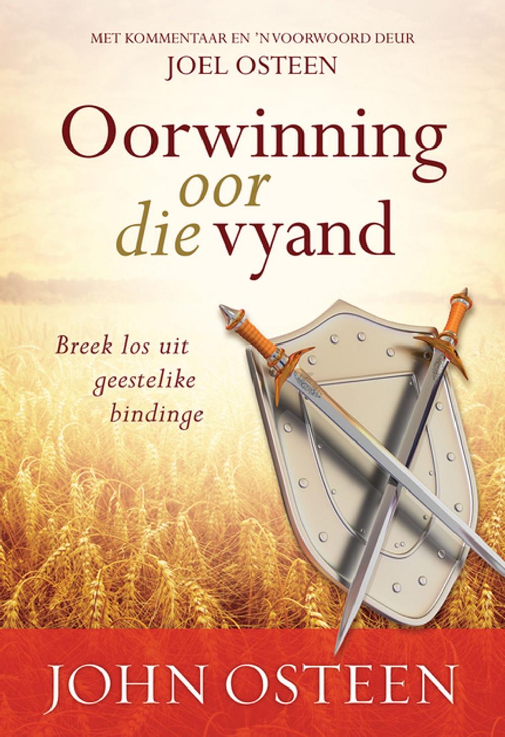 Big bigCover of Oorwinning oor die vyand (eBoek)