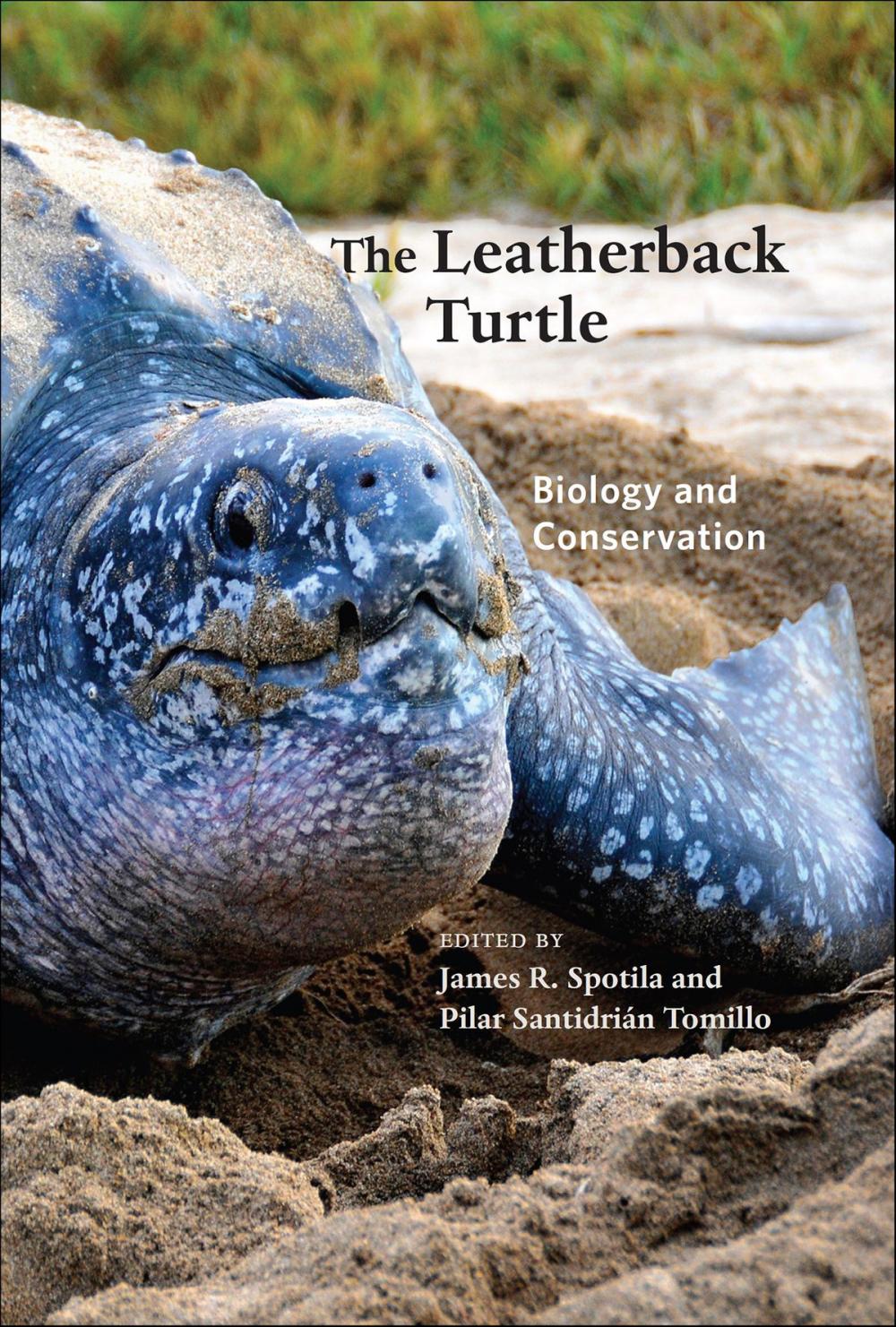 Big bigCover of The Leatherback Turtle