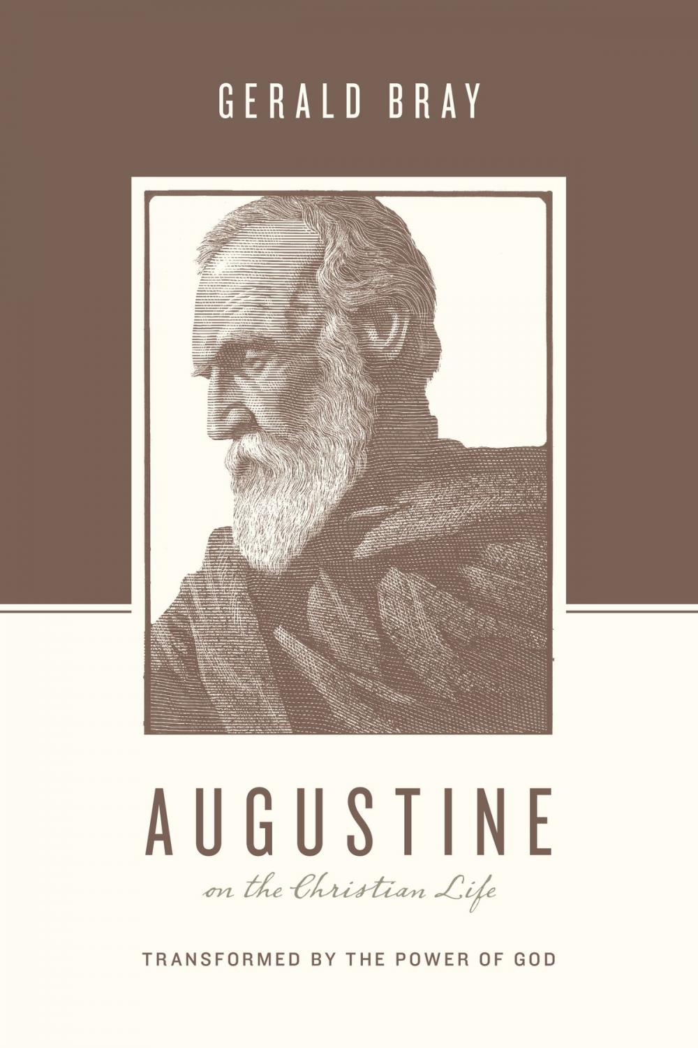 Big bigCover of Augustine on the Christian Life