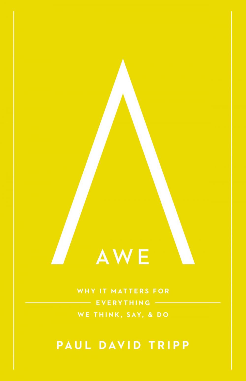 Big bigCover of Awe