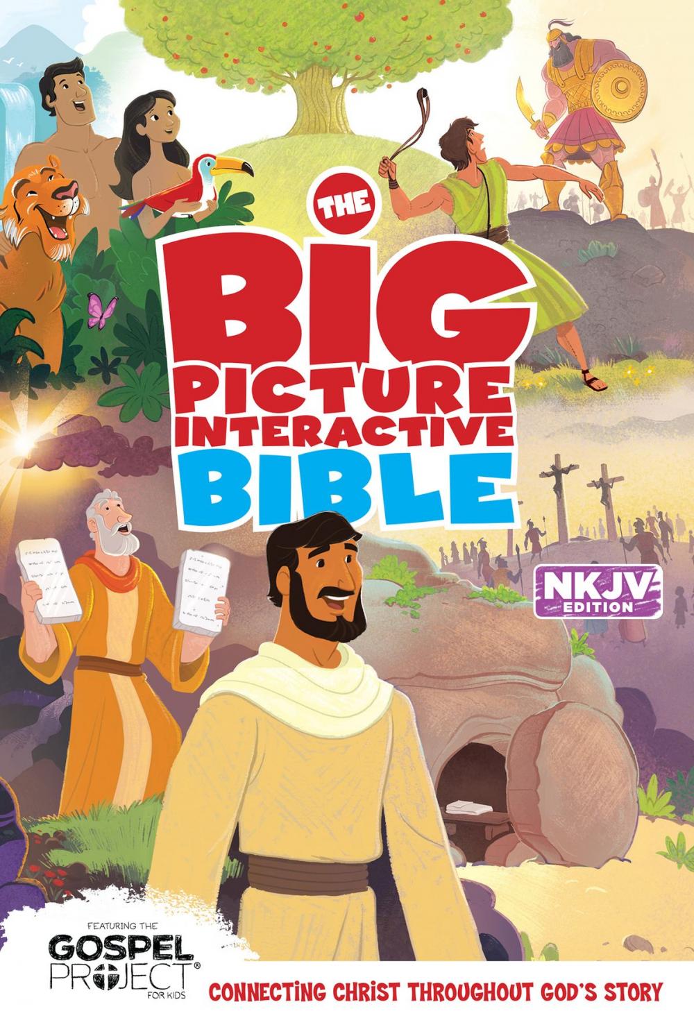 Big bigCover of The Big Picture Interactive Bible