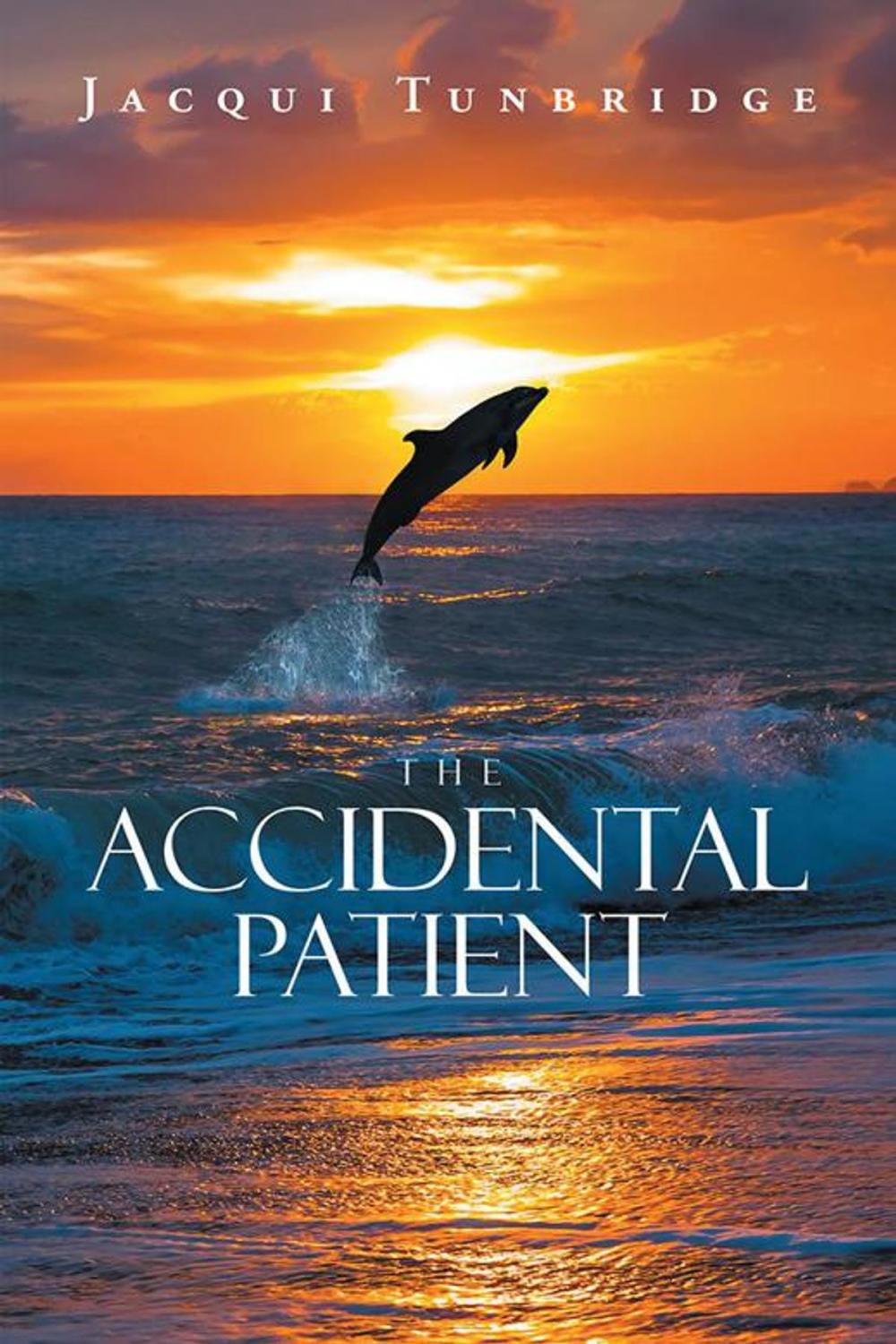 Big bigCover of The Accidental Patient