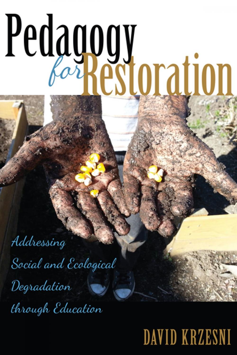 Big bigCover of Pedagogy for Restoration